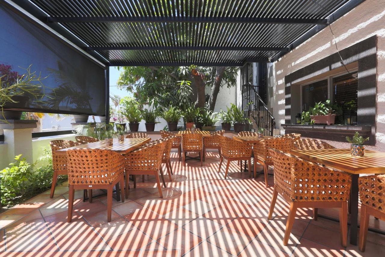 Hotel Posada Terranova San José del Cabo Extérieur photo