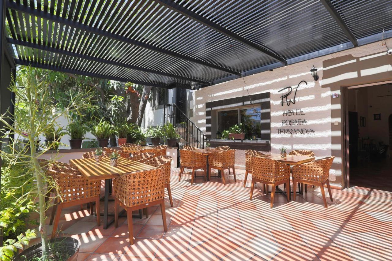 Hotel Posada Terranova San José del Cabo Extérieur photo
