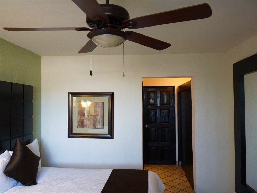 Hotel Posada Terranova San José del Cabo Extérieur photo
